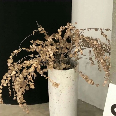 Furry色彩搭配实用技巧福瑞交流群